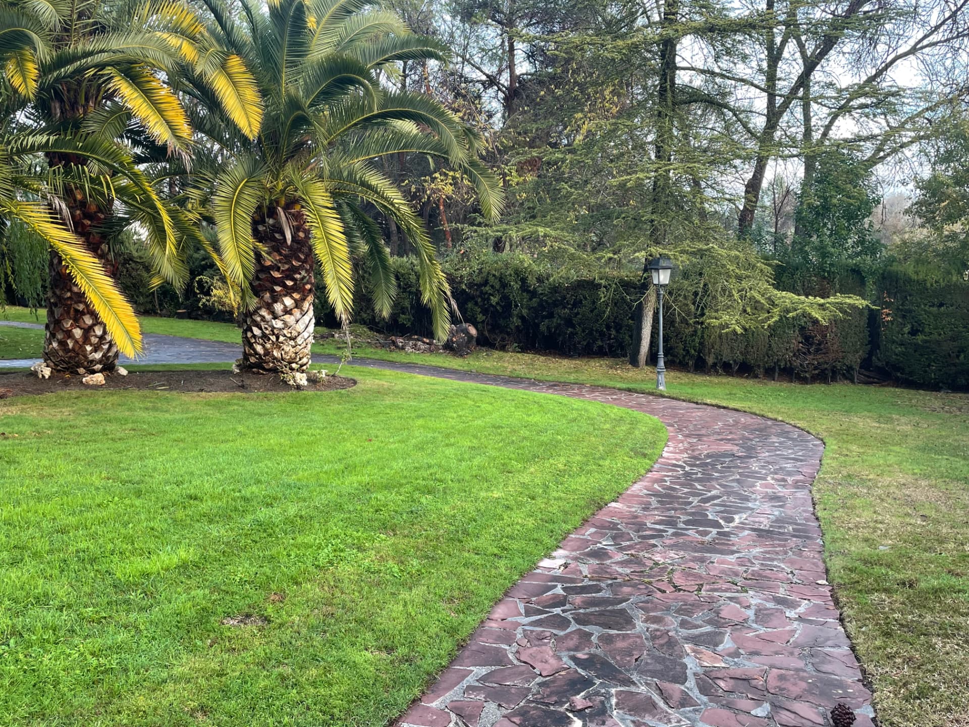 Parcela en Somosaguas B, Pozuelo de Alarcón, foto 16