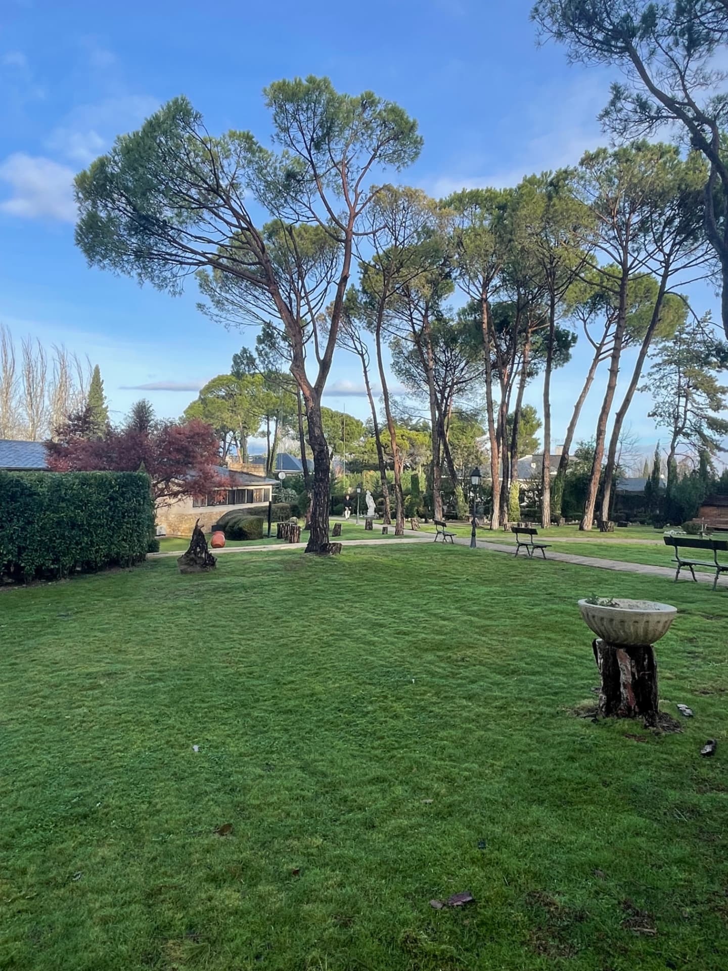 Parcela en Somosaguas B, Pozuelo de Alarcón, foto 10