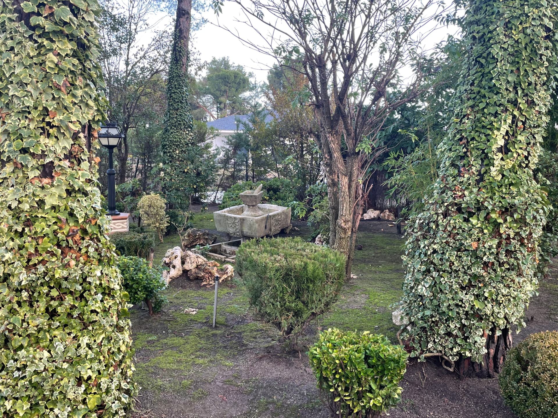 Parcela en Somosaguas B, Pozuelo de Alarcón, foto 19